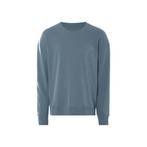 Livergy® Pánská mikina (modrošedá, XL (56/58))