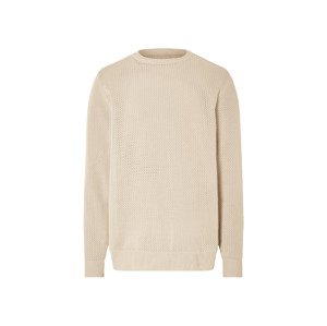 Livergy® Pánský pletený svetr (bílá, XL (56/58))