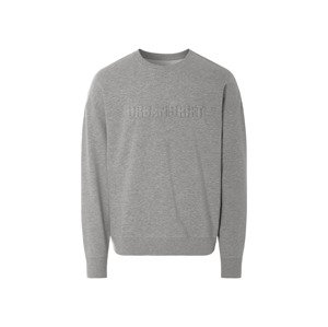 Livergy® Pánská mikina (šedá, L (52/54))