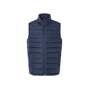 Livergy® Pánská prošívaná vesta (navy modrá, L(52/54))
