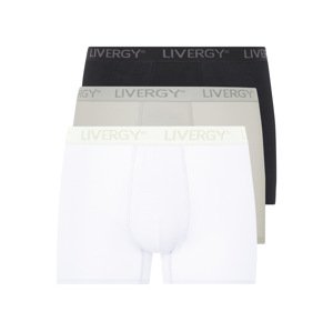 Livergy® Pánské boxerky, 3 kusy (bílá / světle šedá / černá, 6/L)