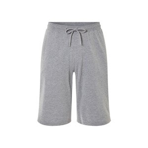 Livergy® Pánské bermudy (šedá, S (44/46))