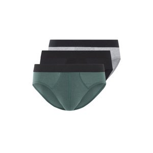 Livergy® Pánské slipy, 3 kusy (černá/šedá/zelená, 6/L)