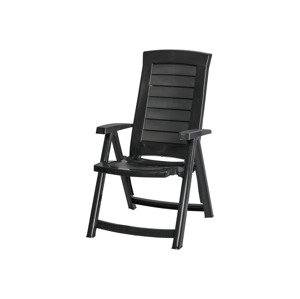 Livarno home Plastové skládací křeslo Dallas
