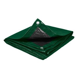 Parkside® Univerzální ochranná plachta, 2 x 3 m (zelená)