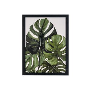 Livarno home Nástěnný obrázek, 30 x 40 cm (eukalyptus)