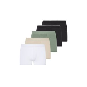 Livergy® Pánské boxerky, 5 kusů (černá/zelená/béžová/bílá, 6/L)