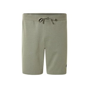 Livergy® Pánské teplákové kraťasy (zelená, M (48/50))