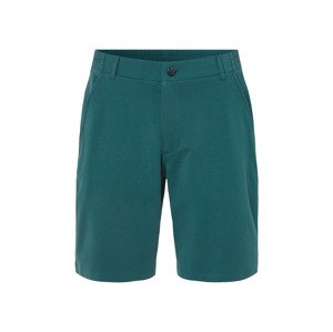 Livergy® Pánské kraťasy (zelená, L (52/54))