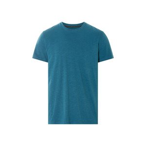 Livergy® Pánské triko (modrá, L (52/54))