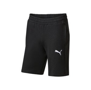 Puma Pánské teplákové kraťasy Teamgoal Casuals (černá, L)