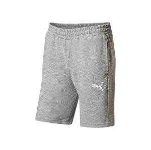Puma Pánské teplákové kraťasy Teamgoal Casuals (šedá, XL)