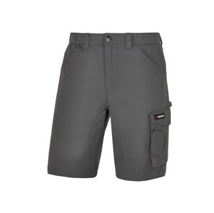 Parkside® Pánské pracovní kraťasy (tmavě šedá, M (48/50))