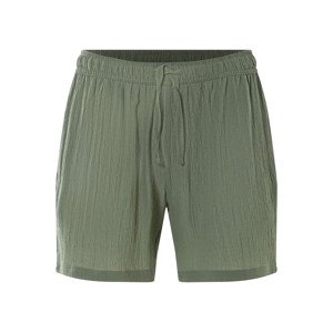 Livergy® Pánské kraťasy (zelená, M (48/50))