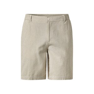 esmara® Pánské kraťasy (pruhy, XL (56/58))
