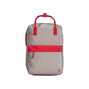 TOPMOVE® Univerzální batoh (adult, šedá/červená)