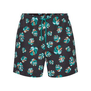 LIVERGY Pánské koupací kraťasy XXL (3XL, černá)