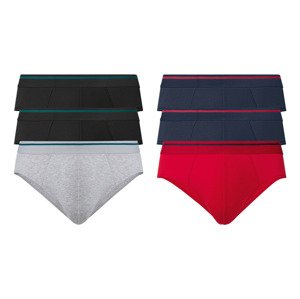 LIVERGY® Pánské slipy s BIO bavlnou, 3 kusy (adult#male#ne#briefs)