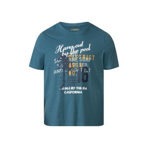 LIVERGY® Pánské triko XXL (adult#male#ne, 3XL(64/66), modrá)