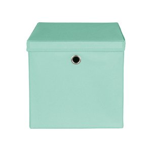 LIVARNO home Úložný box s víkem (mintová)