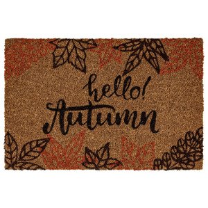 LIVARNO home Kokosová rohož, 40 x 60 cm (Hello Autumn)
