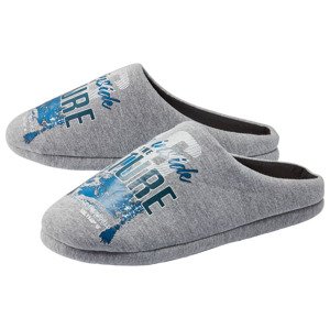 Livergy® Pánská domácí obuv (42/43, šedá)