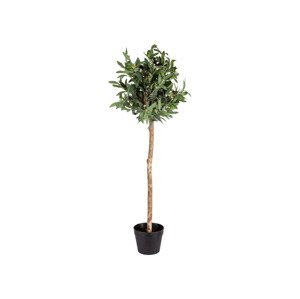 LIVARNO home Dekorační umělá rostlina, 120 cm (olivovník)
