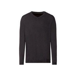 LIVERGY® Pánský svetr (adult#male, S (44/46), černá)