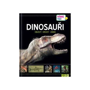 Dětská naučná kniha (dinosaurus)