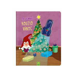 Dětská obrázková knížka  (Tajemné kouzlo Vánoc)