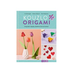 Kniha s kreativními aktivitami (Kouzlo origami)
