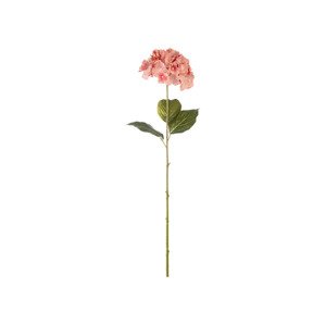 LIVARNO home Umělá květina (hortenzie/starorůžová)