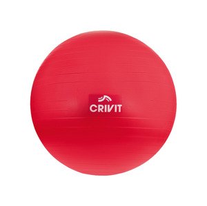 CRIVIT Gymnastický míč (75 cm)