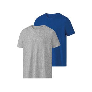 PARKSIDE® Pánské triko, 2 kusy (adult#male#ne, S (44/46), modrá/šedá)